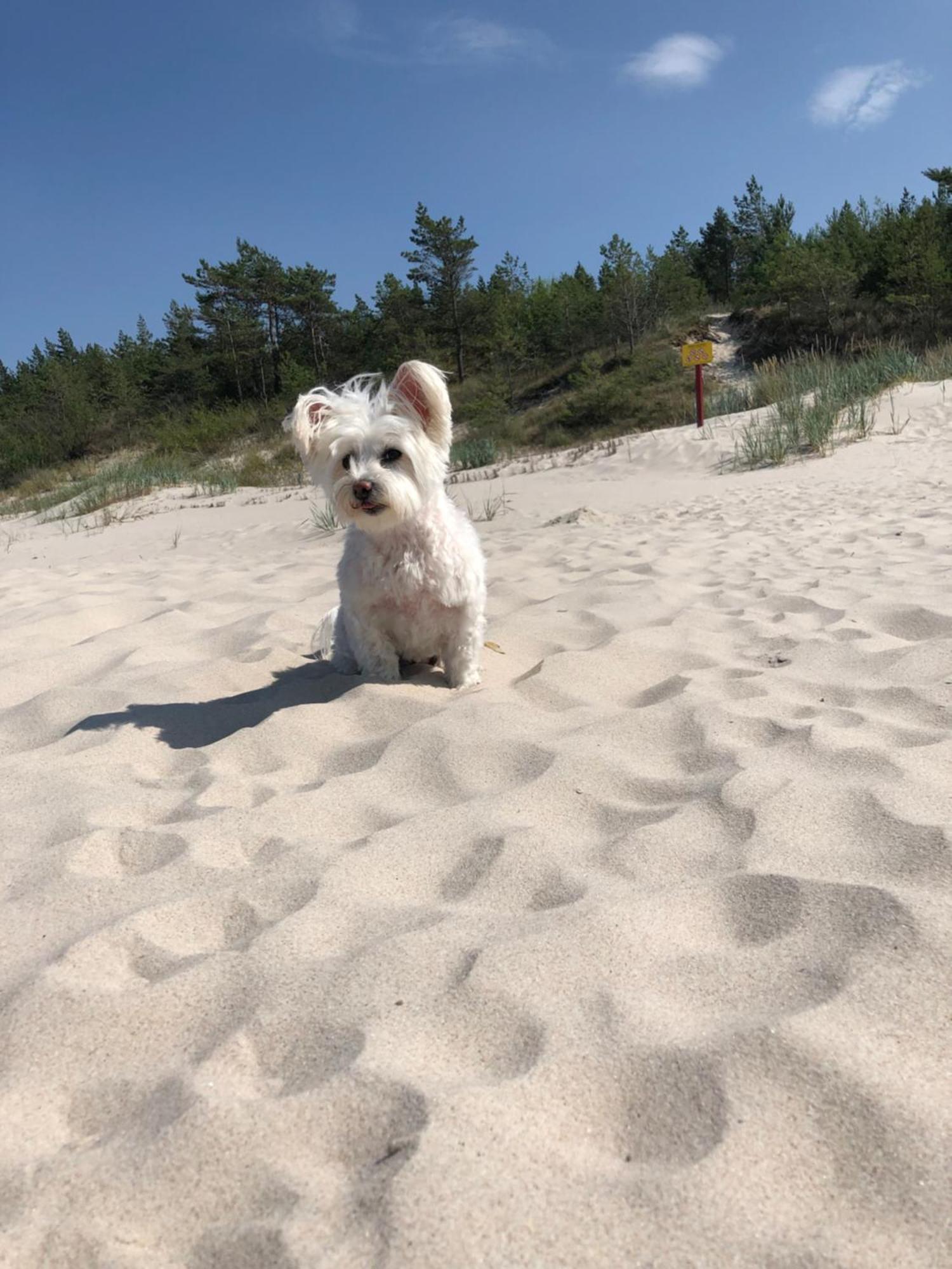 Baltic Holidays Gąski Esterno foto